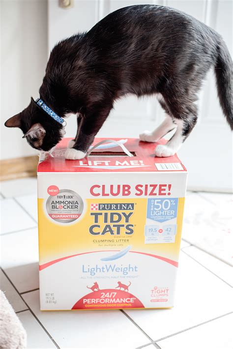 The Top Five Reasons Why You Need Magic Scoo Litter Lifter for Your Cat